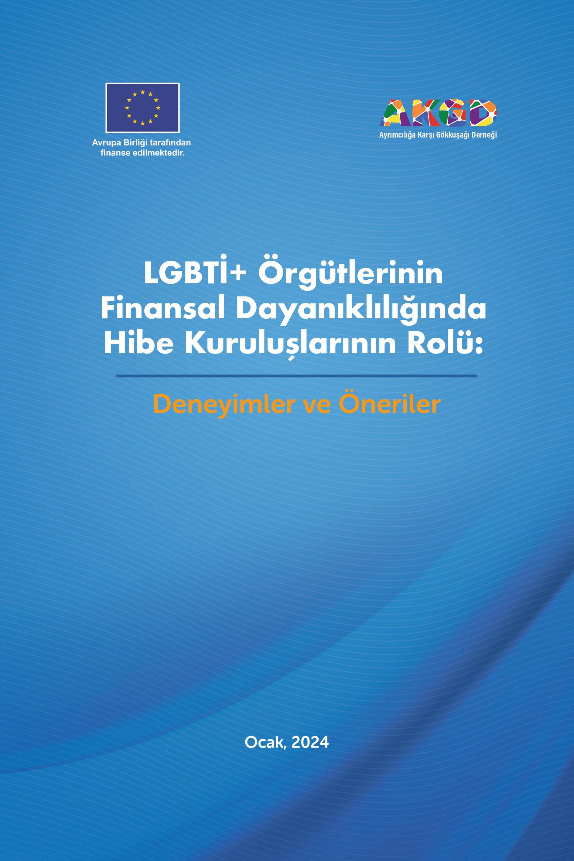 LGBTİ+ Örgütlerinin Finansal Dayanıklılığında Hibe Kuruluşlarının Rolü: Deneyimler ve Öneriler - Ayrımcılığa Karşı Gökkuşağı Derneği