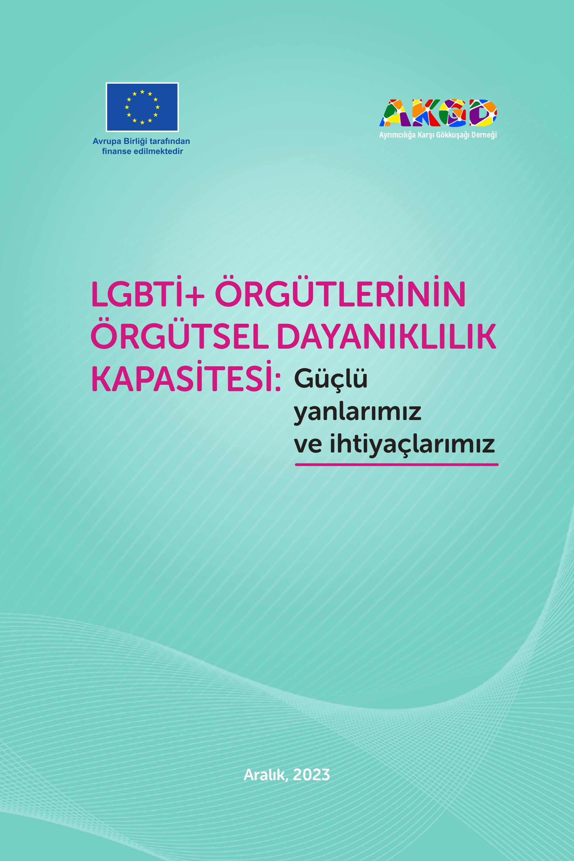 LGBTİ+ Örgütlerinin Örgütsel Dayanıklılık Kapasitesi: Güçlü Yanlarımız ve İhtiyaçlarımız - Ayrımcılığa Karşı Gökkuşağı Derneği